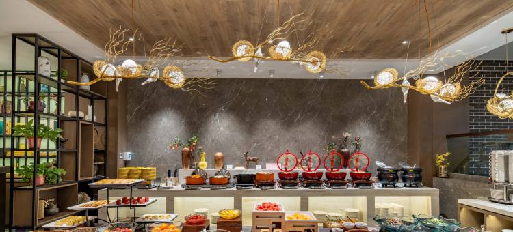 运城美巢雅韵酒店图片