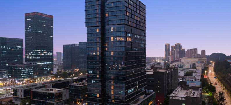 深圳雅庭丰年酒店(宝龙地铁站坪山高铁站店)图片