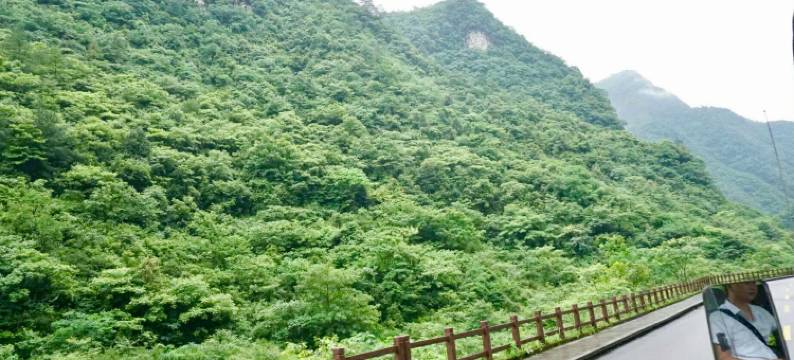 兰竹农家乐图片