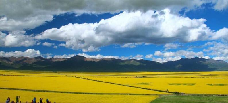 蓝速电竞酒店图片