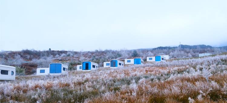 王岗坪脱壳龟生态营地图片