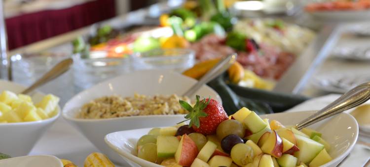 莱昂贝格广场酒店(PLAZA INN Leonberg)图片