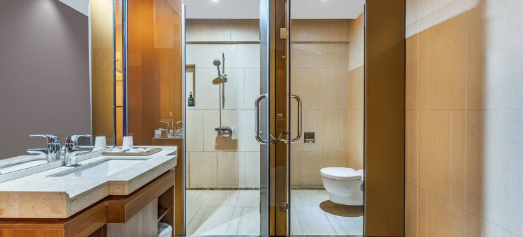 艺龙海雅酒店(番禺长隆广州南站店)图片