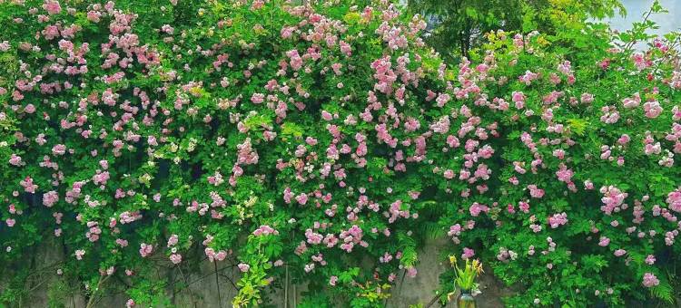 清镇引舍故里康养度假民宿(红枫湖景区店)图片