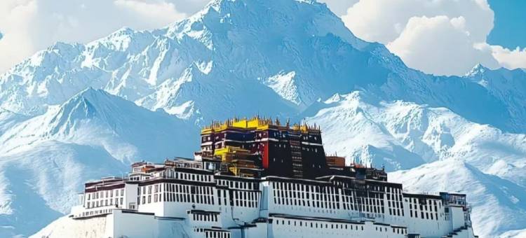 拉萨春秋富氧酒店(布达拉宫八廓街店)图片