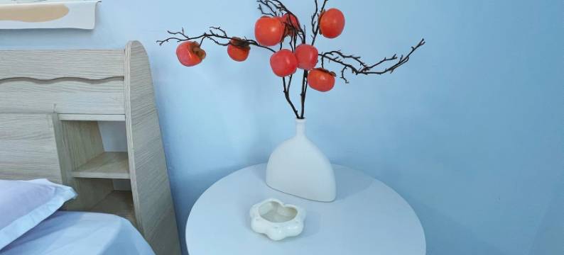 乌鲁木齐繁间民宿图片