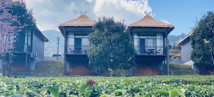 茶海云端民宿(沧源天润茶园店)图片