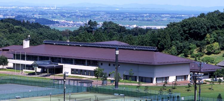 仙台岩沼泰特拉度假酒店(Hotel Tetora Resort Sendai Iwanuma)图片