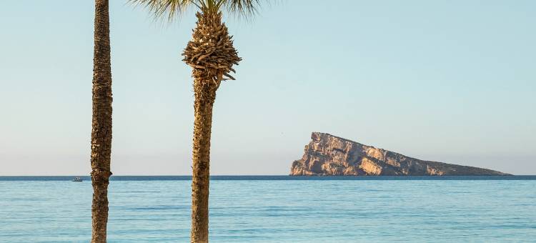 科斯塔布兰卡美利亚怡思得酒店(仅限成人)(INNSiDE by Meliá Costablanca - Adults recommended)图片