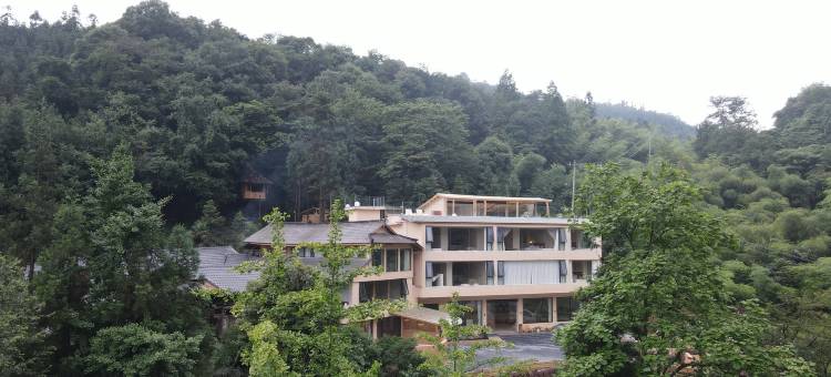 暮云春树·森野汤愈Mountain Healing Retreat美宿(碧峰峡景区店)图片