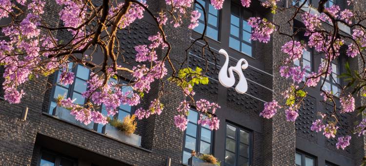 海德约翰内斯堡罗斯班酒店(Hyde Johannesburg Rosebank)图片