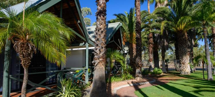 艾丽斯泉沙漠棕榈酒店(Desert Palms Alice Springs)图片