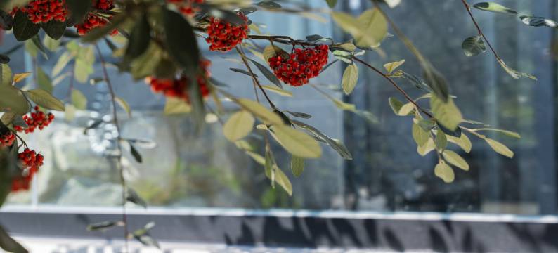 安隐温泉民宿(牛街店)图片