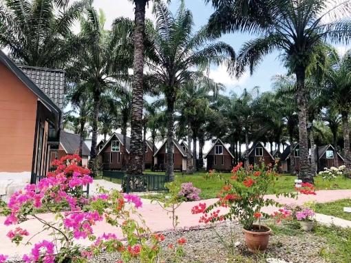 Nature Resort Hotel Overview