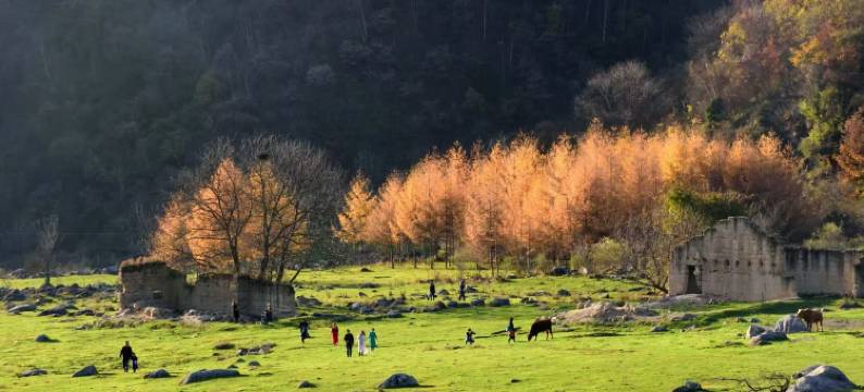 向云端民宿图片