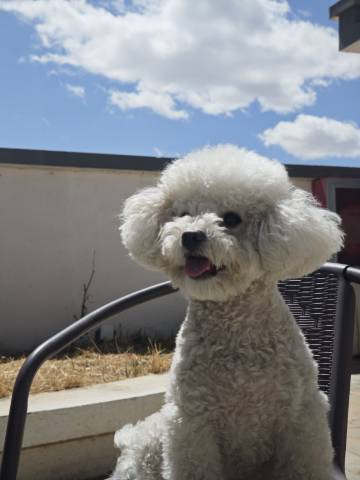 朴宿·火山观星丨独立小院度假民宿(乌兰哈达火山地质公园店)图片