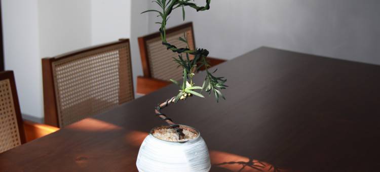 喜遇·城南里民宿(喜洲古镇店)图片