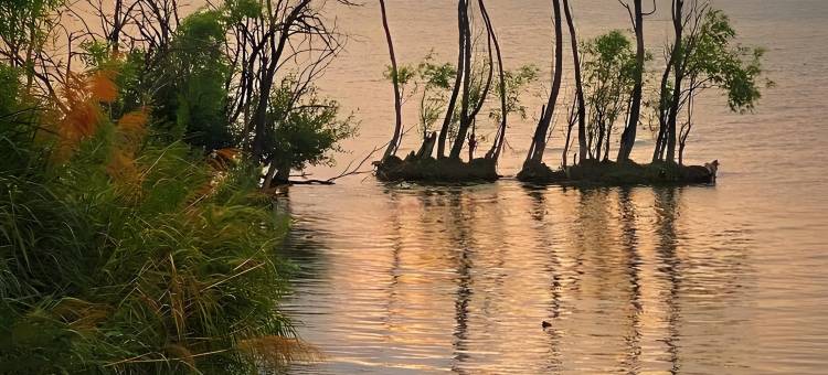 大理驿泊·迷漾My观海墅(海东理想邦店)图片