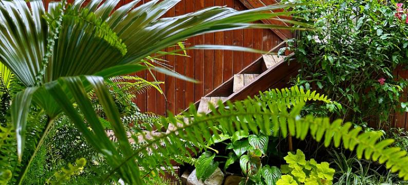 丽江欢笑投缘客栈(大石桥店)图片