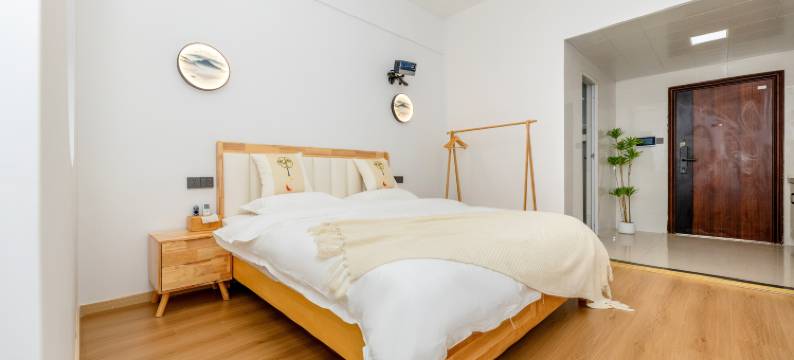 悦享智慧民宿(合肥中环城繁华大道地铁站店)图片