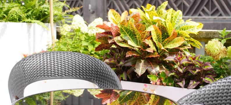 三只猫DEEP青年旅社(东门町店)图片