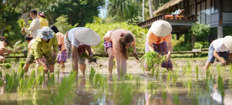 亚奥岛村庄(Koh Yao Yai Village)图片
