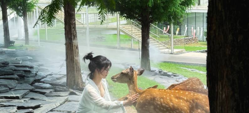 树下小白屋·小羊肖恩主题民宿(安吉白茶观景平台店)图片