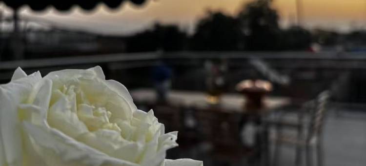 亮堂大院(正定古城店)图片