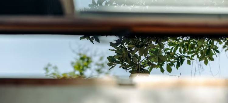 花筑·西湖琅琊阁·叠翠揽怀·香浸山邸茶宿图片