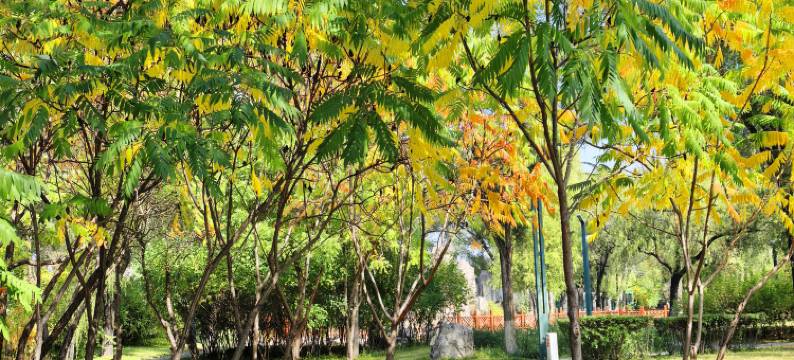 大庆九号院宾馆图片