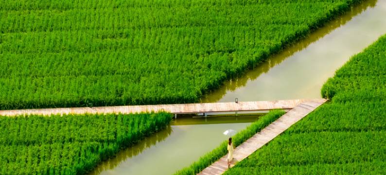 云栖陌野度假美宿(英西峰林店)图片