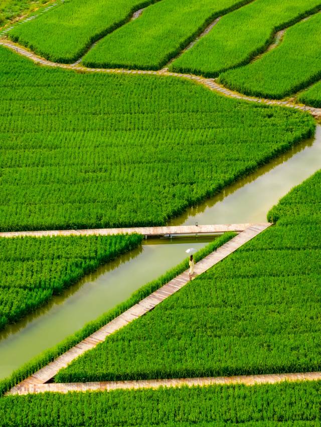 云栖陌野度假美宿(英西峰林店)图片