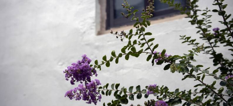 南京勐拉温泉汤屋民宿图片