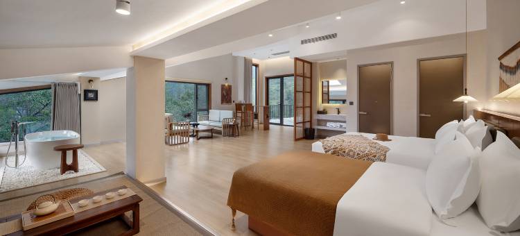 蓝梦云栖民宿(王莽岭店)图片