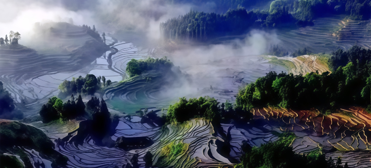 风茂酒店(娄底中心医院职业技术学院店)图片