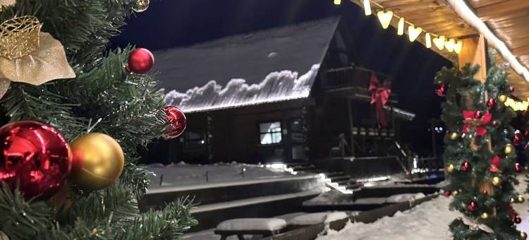 葡萄·牧时隅8648°民宿(白哈巴景区店)图片