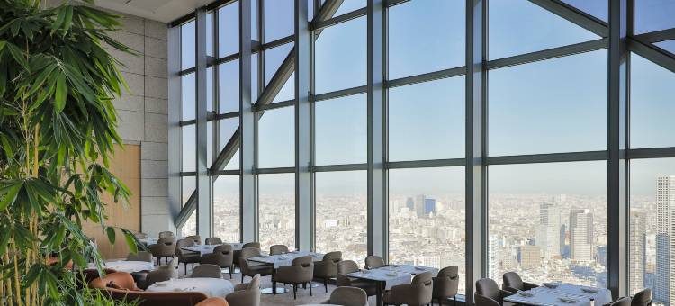 东京柏悦大酒店(Park Hyatt Tokyo)图片