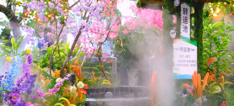 保定兴芮商务酒店图片