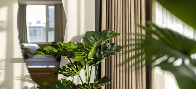 云境•松间｜CLEARSHORE•GALLERY 设计师美宿(吉林火车站店)图片