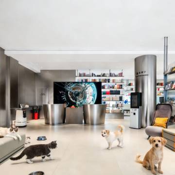 金华高铁站四季逸境酒店(永盛购物广场五一路店)图片