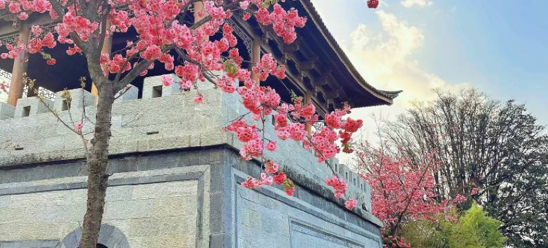 静心雅苑·宋氏美学国风小院(大理古城三月街店)图片