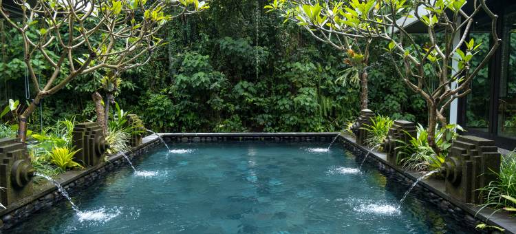 阿迪瓦纳乌纳吉河畔酒店(Adiwana Unagi Riverfront)图片