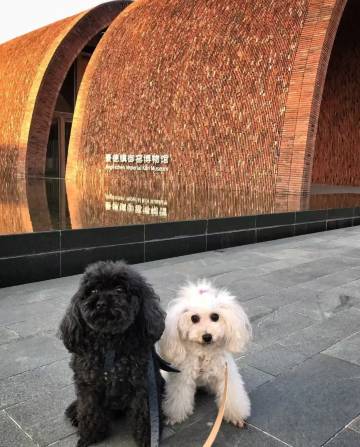 景市九间·Retreat(陶溪川文创街区店)图片