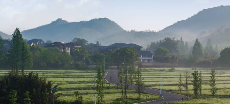 杭州城西汤泉花间堂·见青山图片