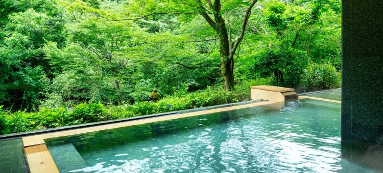 星野集团 界 箱根(Hoshino Resorts KAI Hakone)图片