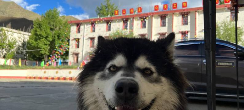 羊湖蕃圣度假山庄图片