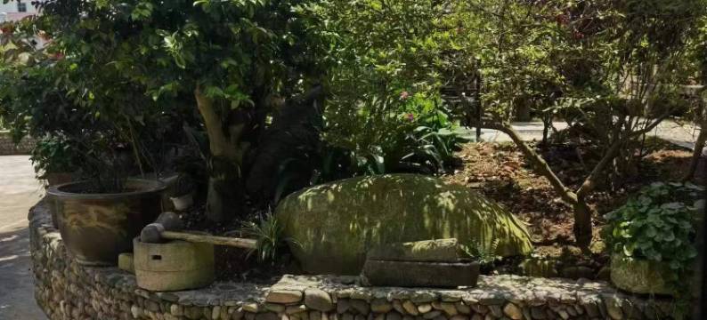 新昌书雅民宿图片