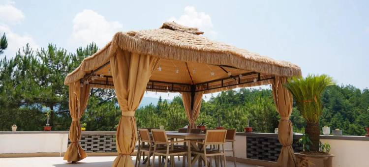 栖客酒浓民宿图片