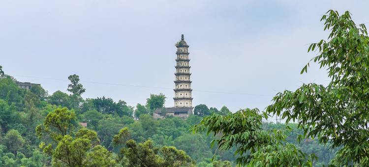 富顺皇庭酒店图片