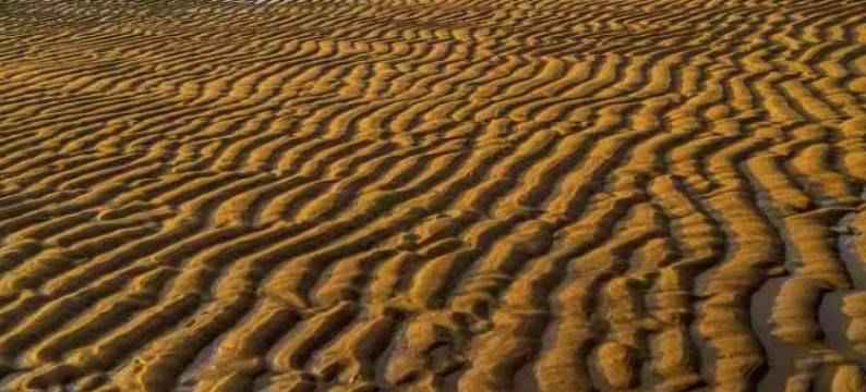 霞浦听涛苑民宿图片